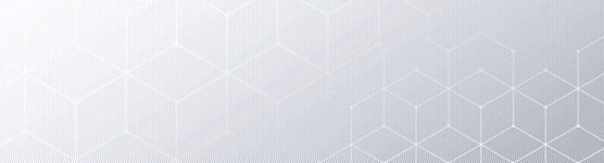 Dimensões personalizadas 557x150 px